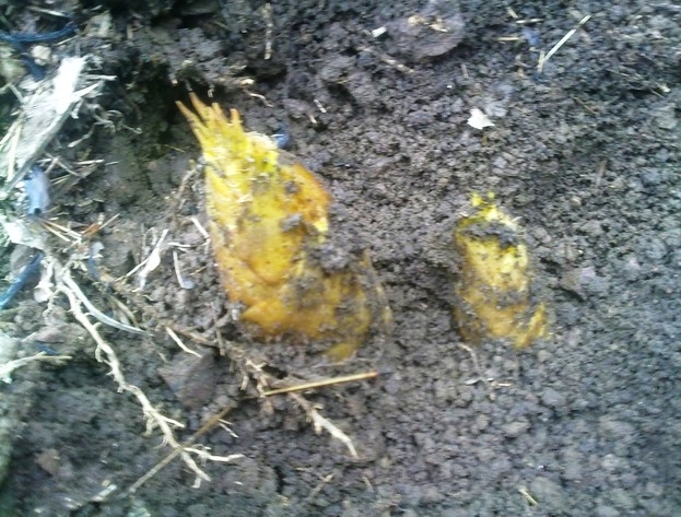 �ʼ����� 1.jpg