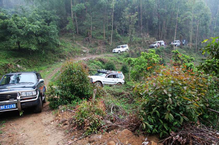 ��ĳ���,������....