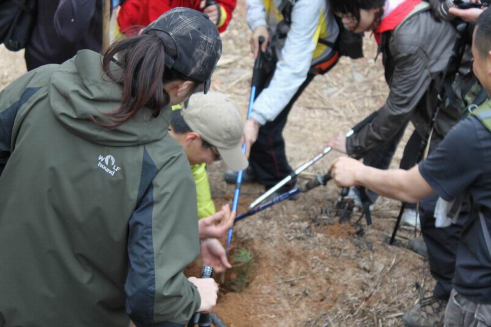 ������С ������С IMG_1384.JPG