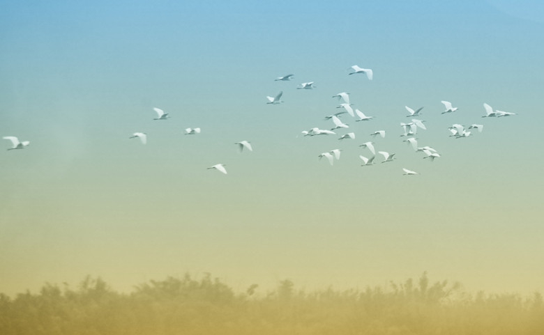 123 025_����_����.jpg