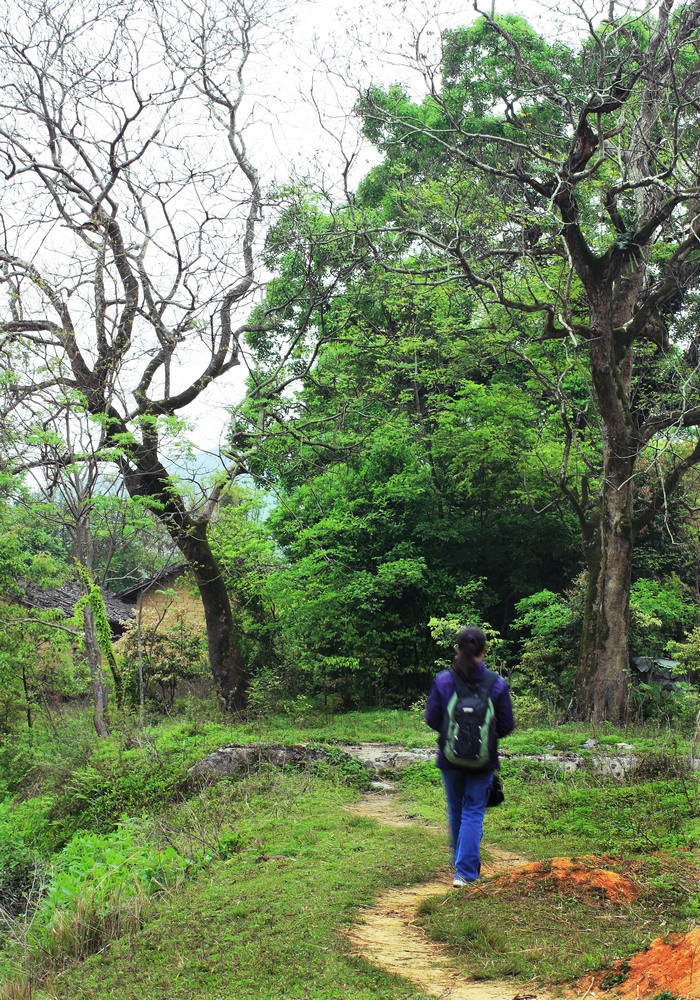 01 �������ֻ�.jpg