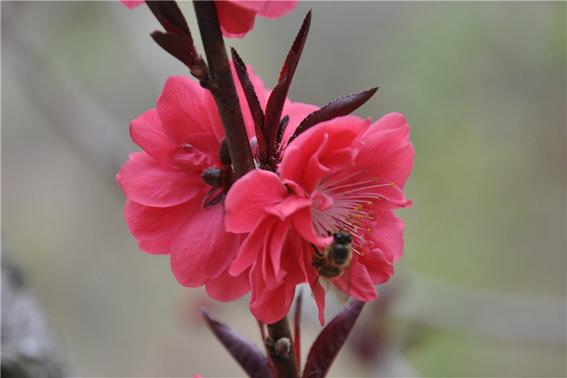 �һ� a_����.jpg