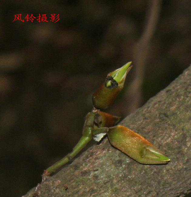 ǧ��Ϫ��ɽ 040_����_����.jpg