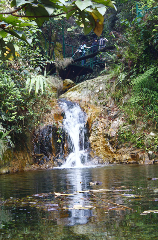 ��ת ��ת ��ת _MG_3339.jpg