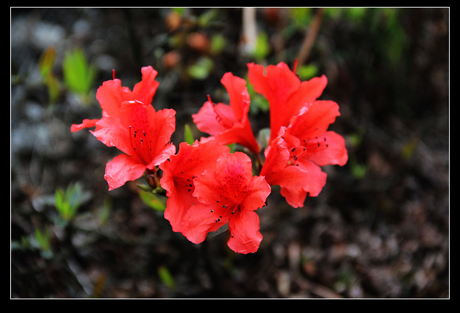 ��Ƭ 099_nEO_IMG.jpg