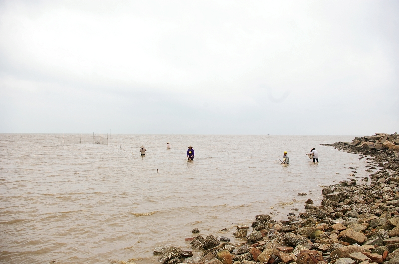 ���ǲ�֪���ں�������ʲô