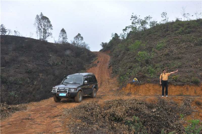 dsc_0995  a_����.jpg