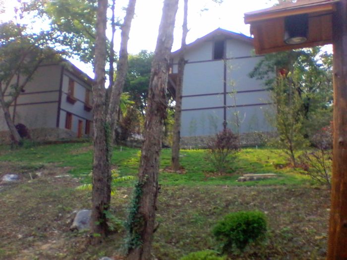 2011-05-19 16.32.19.jpg