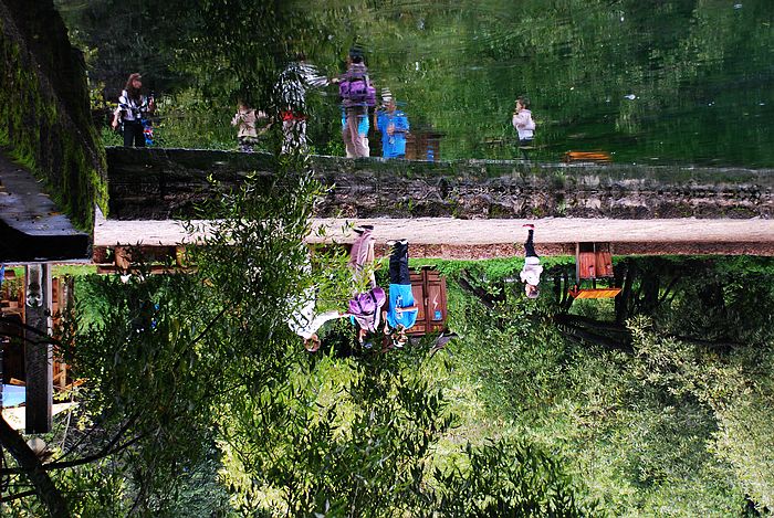 nEO_IMG_DSC0001 (260.jpg