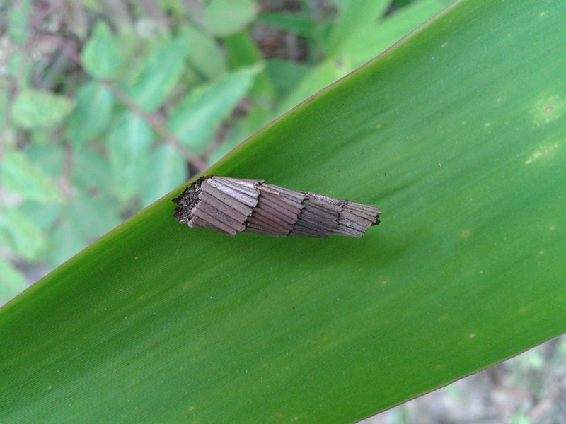 �⵽����ʲô�������ģ�