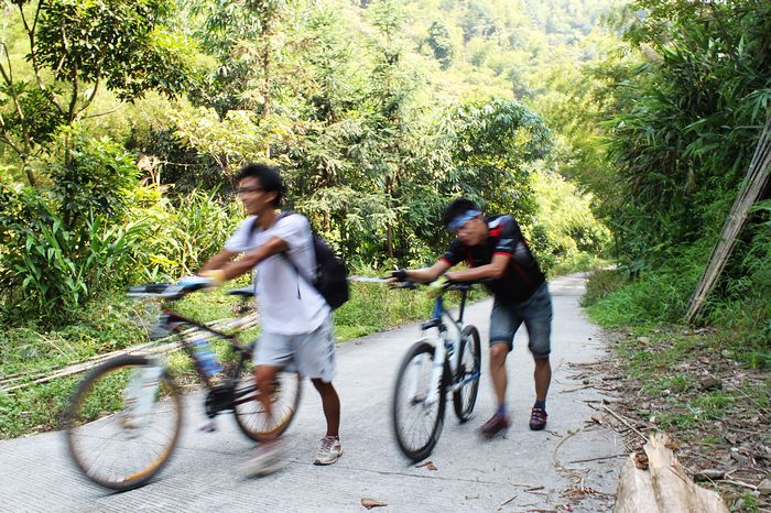 �Ƴ��ġ���