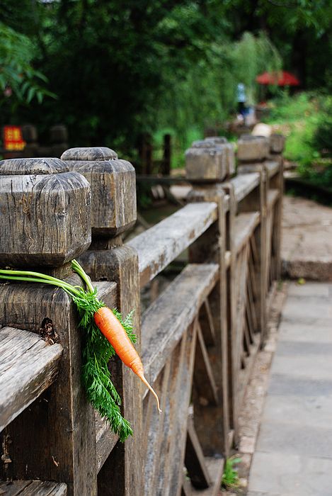 nEO_IMG_DSC0001 (140).jpg