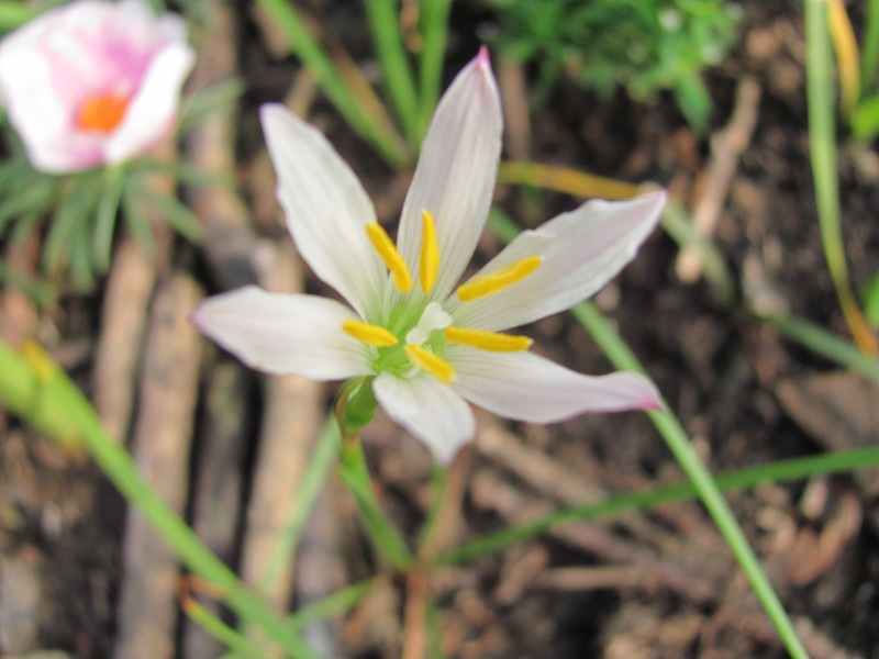 ���껨��Z.x`W3��