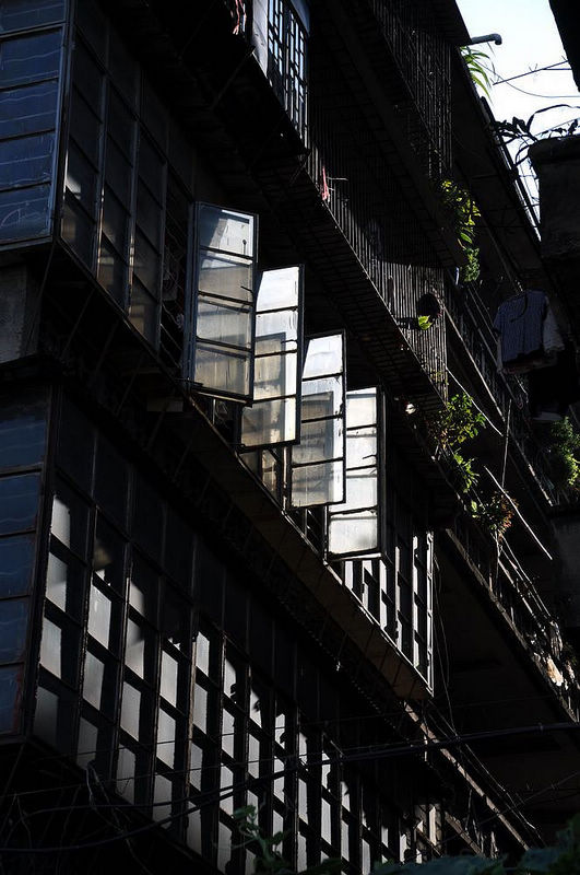 nEO_IMG_��Ƭ 095.jpg