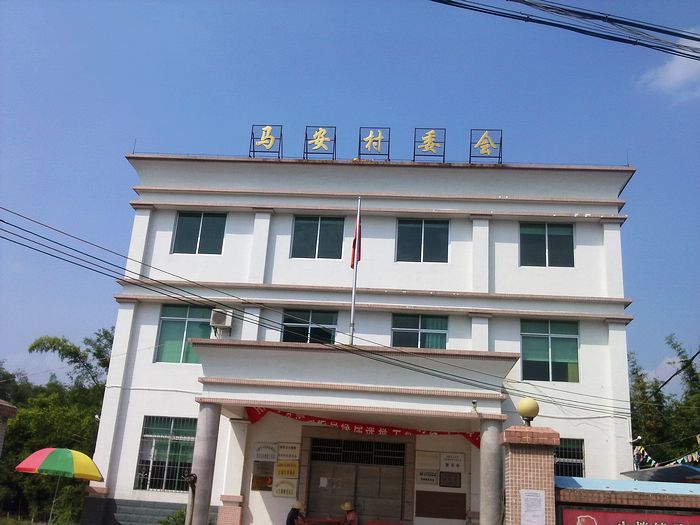 ������ӡ�