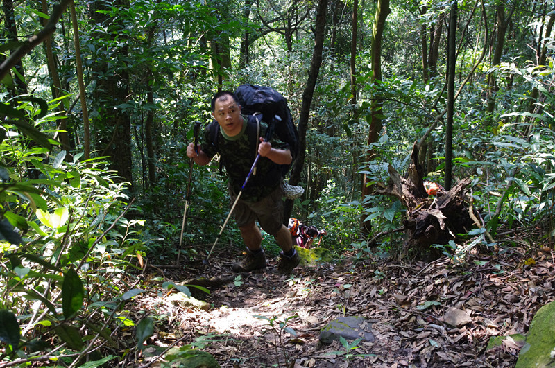 Ŀ��ãȻ���Ų���ֵ�����