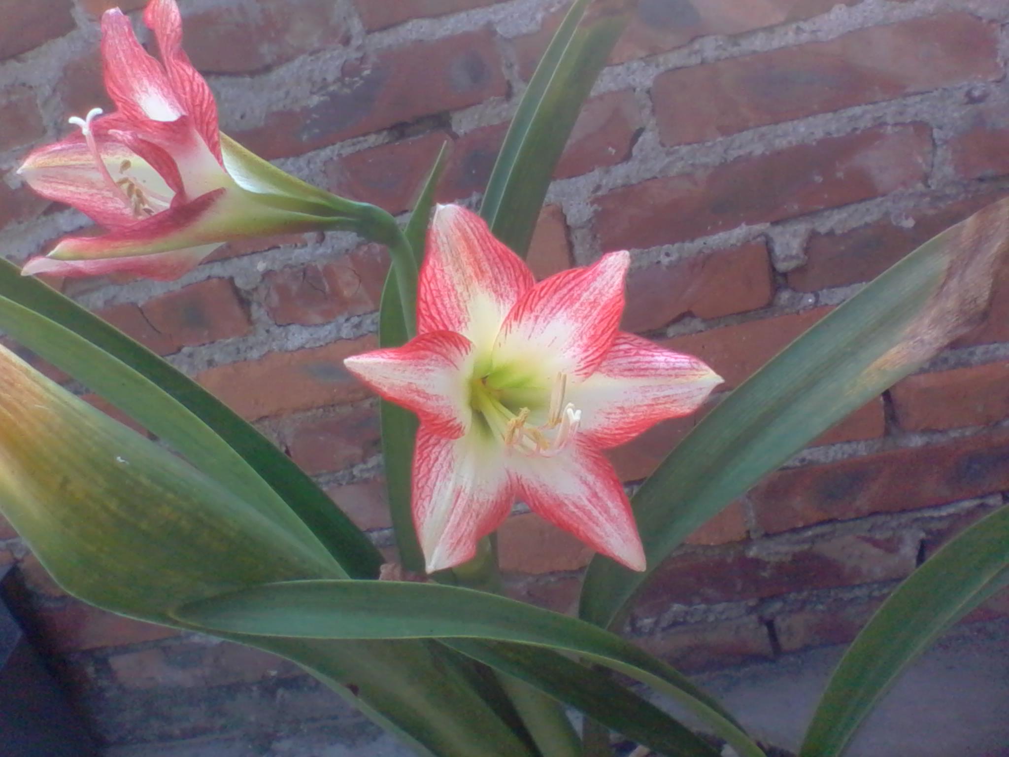 2011-09-18 08.08.30.jpg