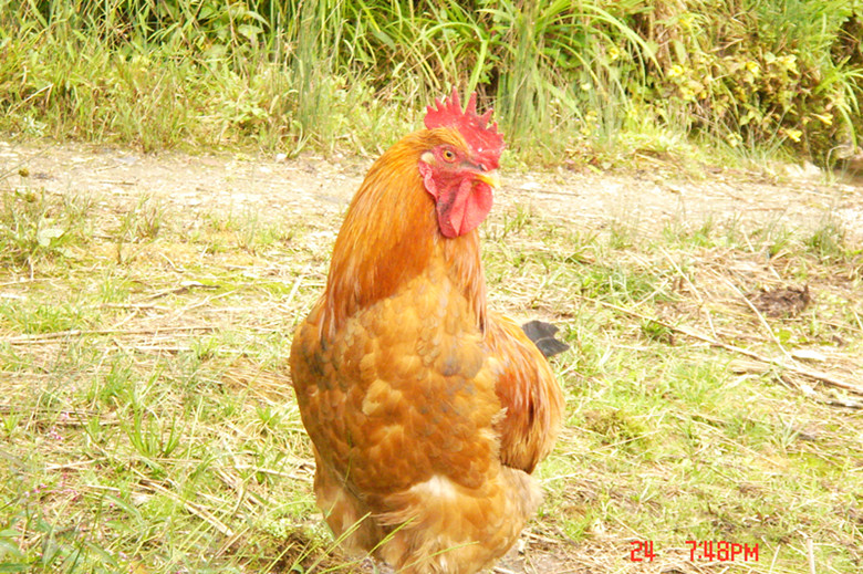 ��Ҵ�Ժ�Ĺ�����ӭ����