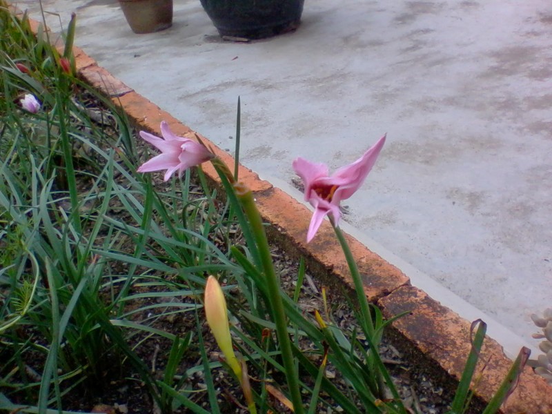 2011-10-04 11.14a.jpg