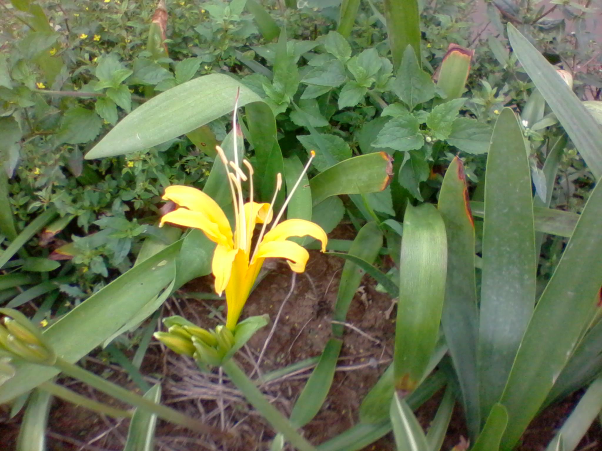 2011-10-04 12.02.03.jpg