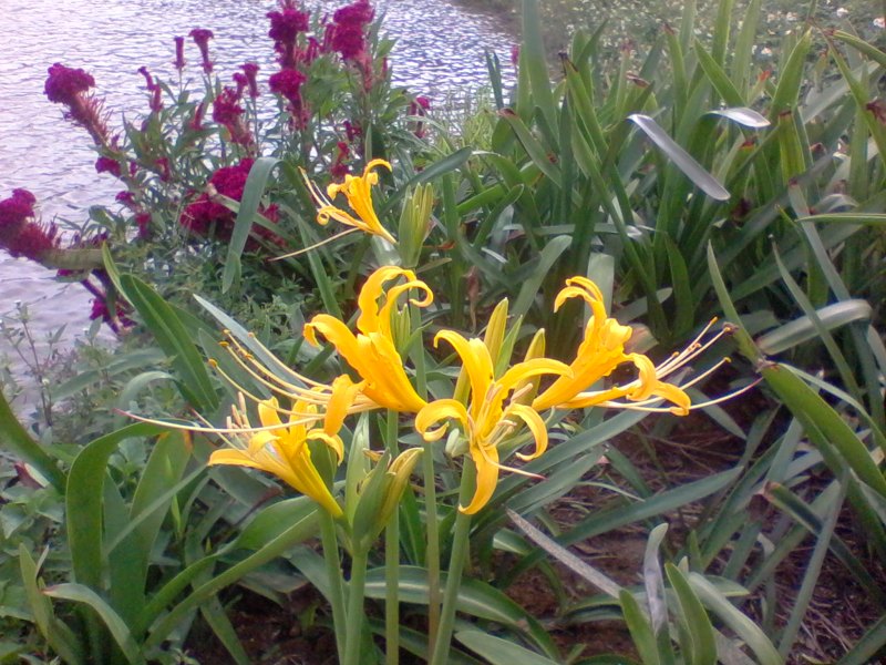 2011-10-05 09.03a.jpg