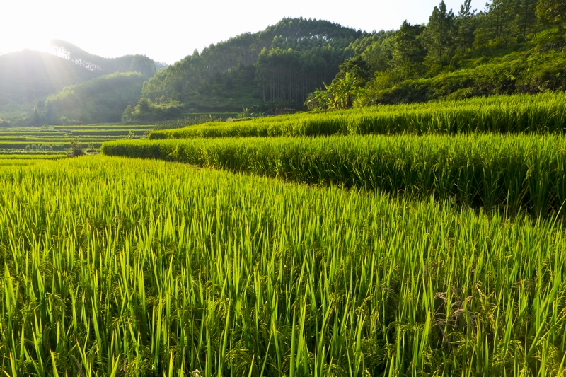 ������С P1010185.jpg