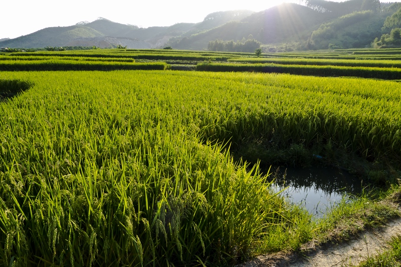 ������С P1010189.jpg