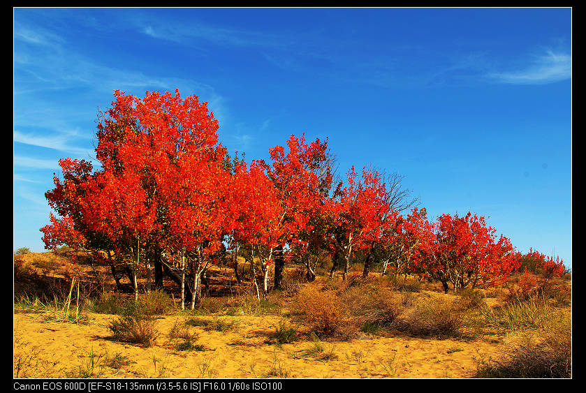 ػ͡1 942_nEO_IMG.jpg