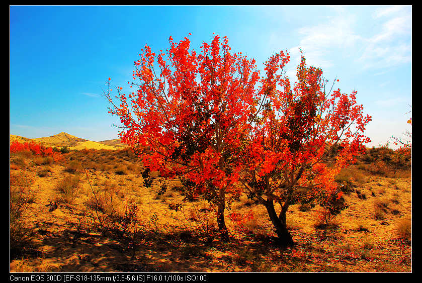 ػ͡1 945_nEO_IMG.jpg