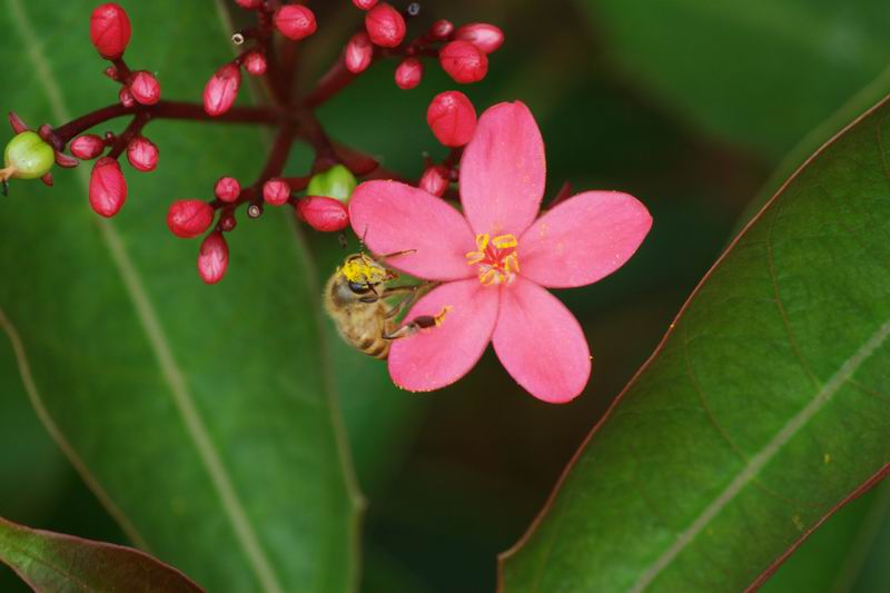 ������С IMG_1699.jpg