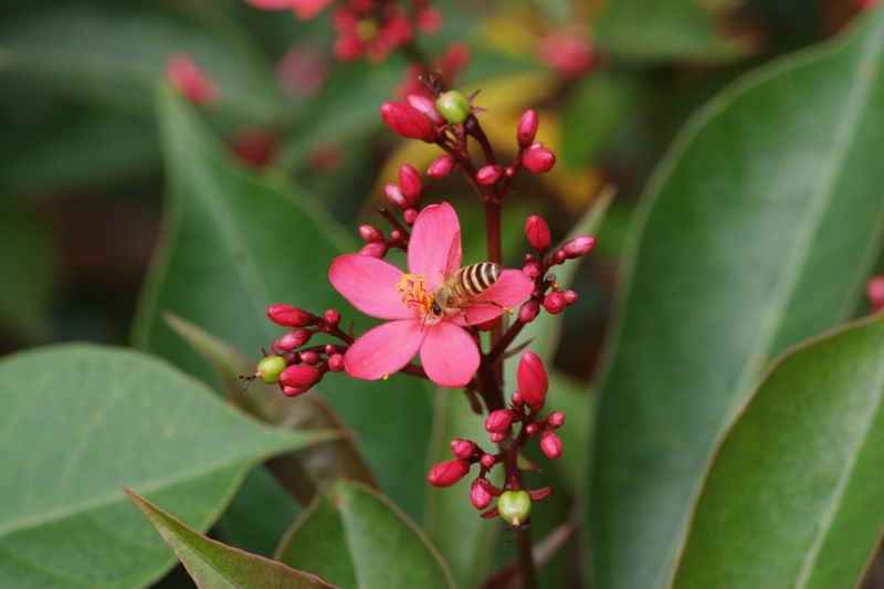 ������С IMG_1702.jpg