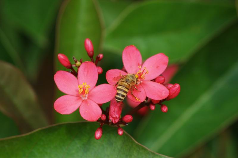 ������С IMG_1706.jpg