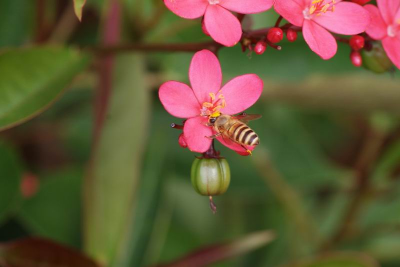 ������С IMG_1714.jpg