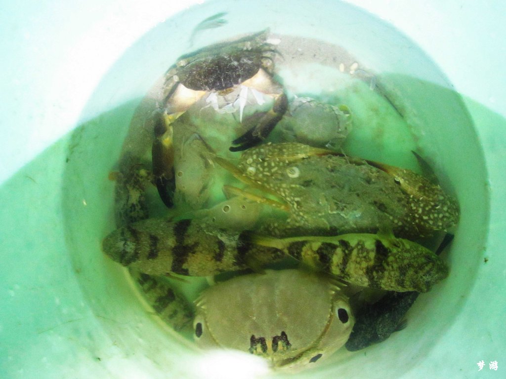 1��Сʱ�ĸϺ��ջ�