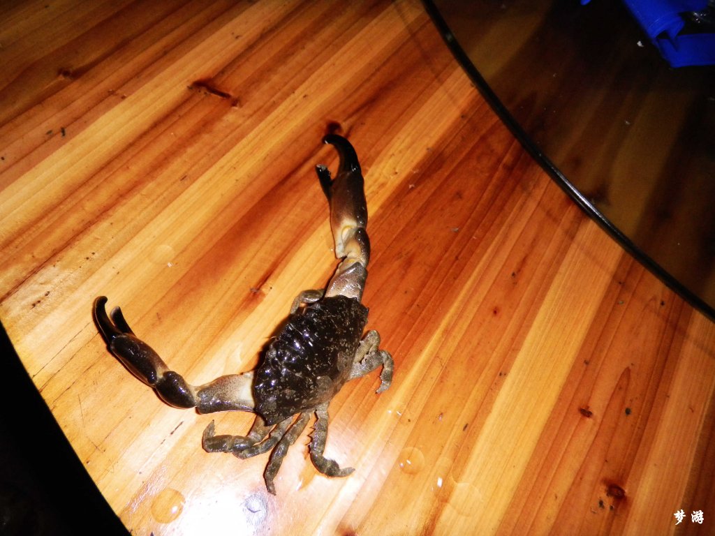 ��һ�ͦ�׵�