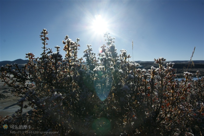 ������������¶��� 4.jpg