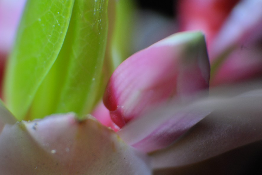 ����ĵ��ӻ� 3.jpg