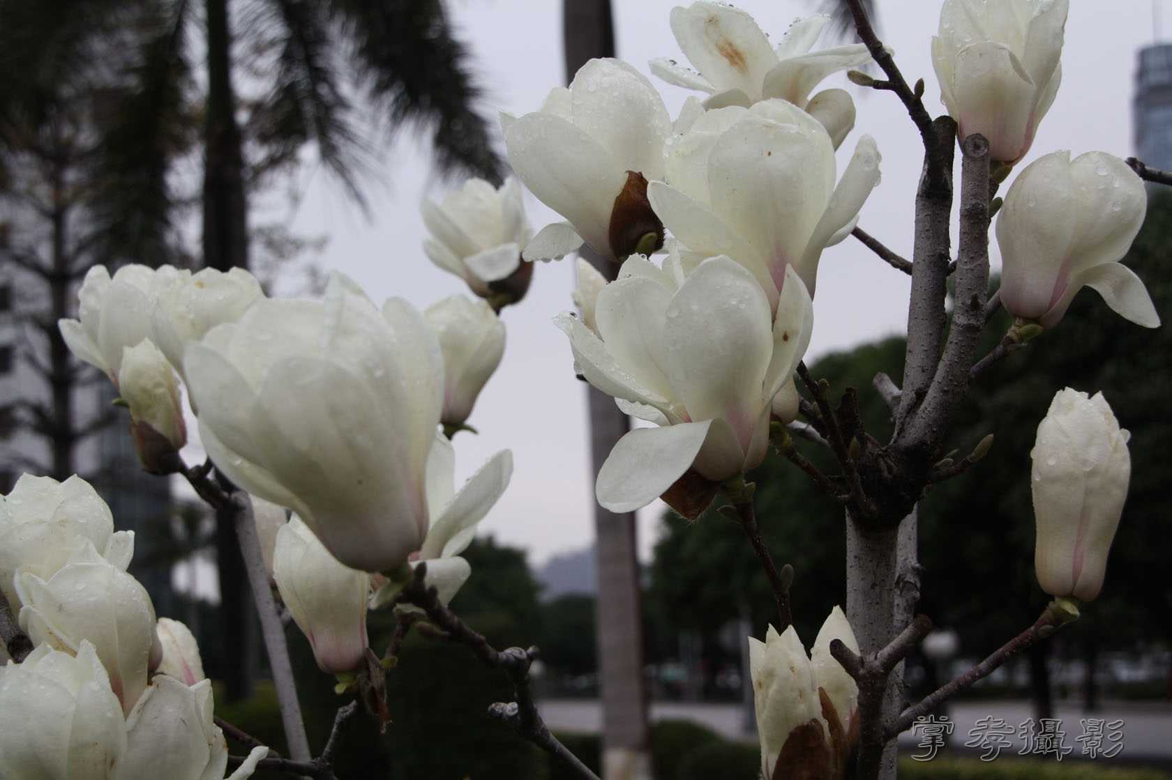 3.1�������� (1).JPG