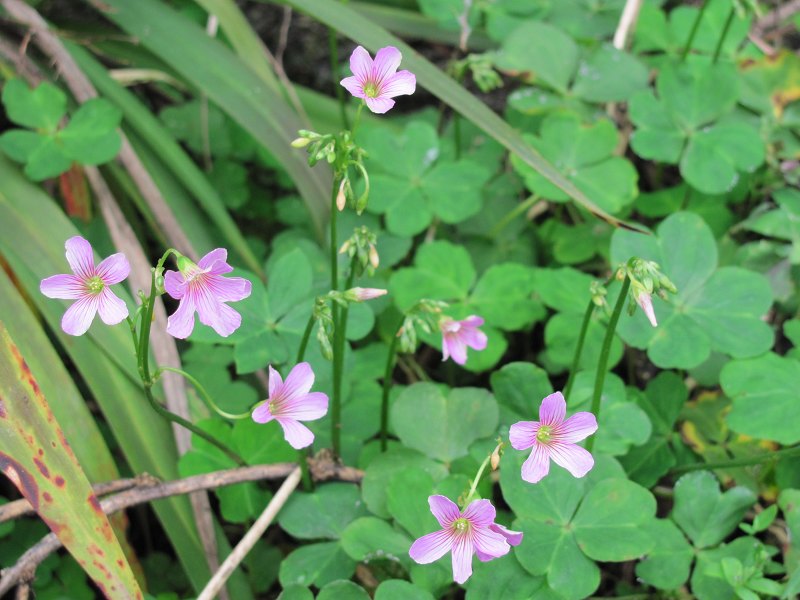 �컨������