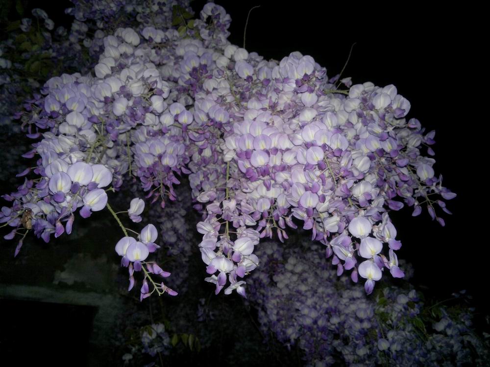 ������С ������С 201204021103.jpg