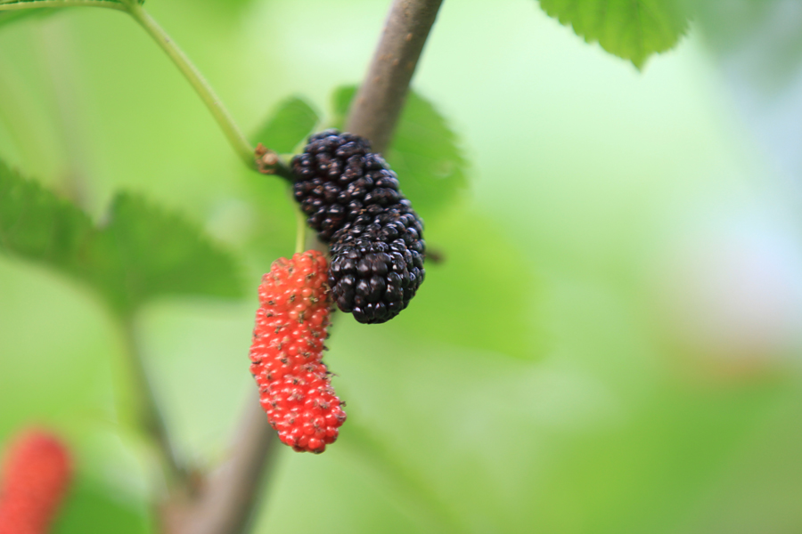 һ�ԶԵġ�����