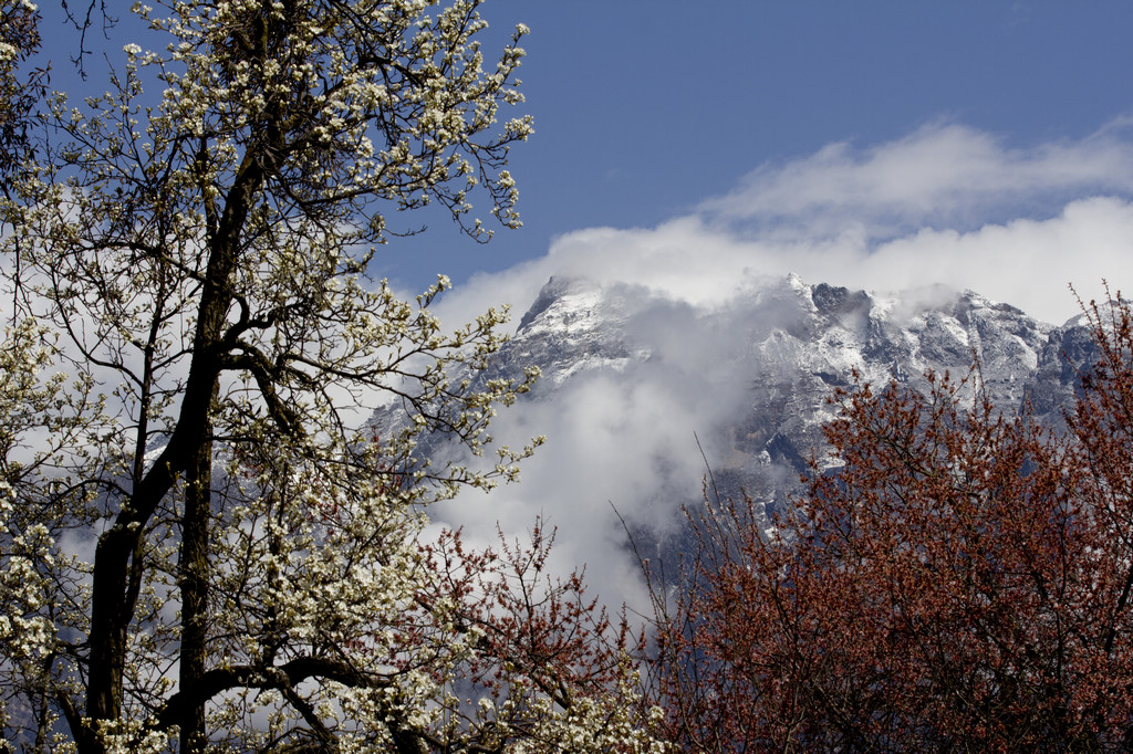 �����Ĵ���ɽ֮һ������ÿ�궼Ҫ��ɽ����...