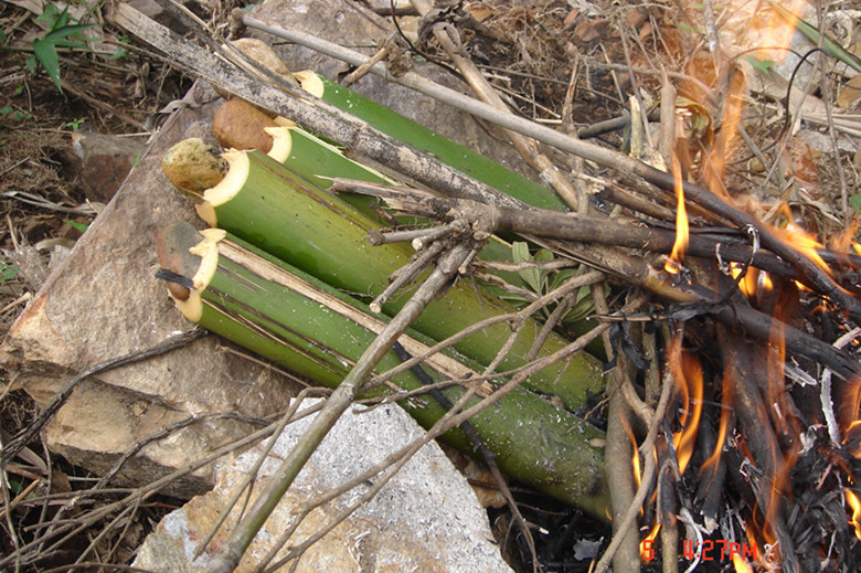 ��Ͳì��ɽȪˮ������ɽ��ͬѧ����