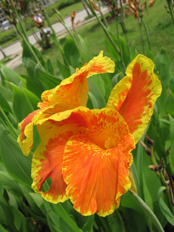 �����˽�