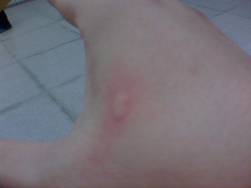 2012-06-11 10.14.53a.jpg