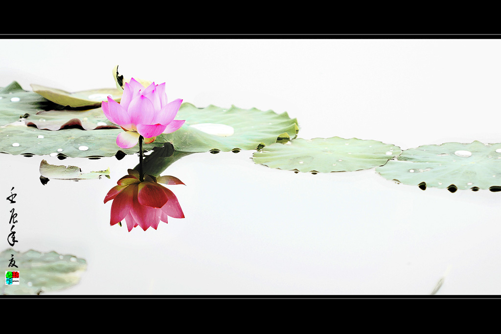 IMG_8958 ����.jpg