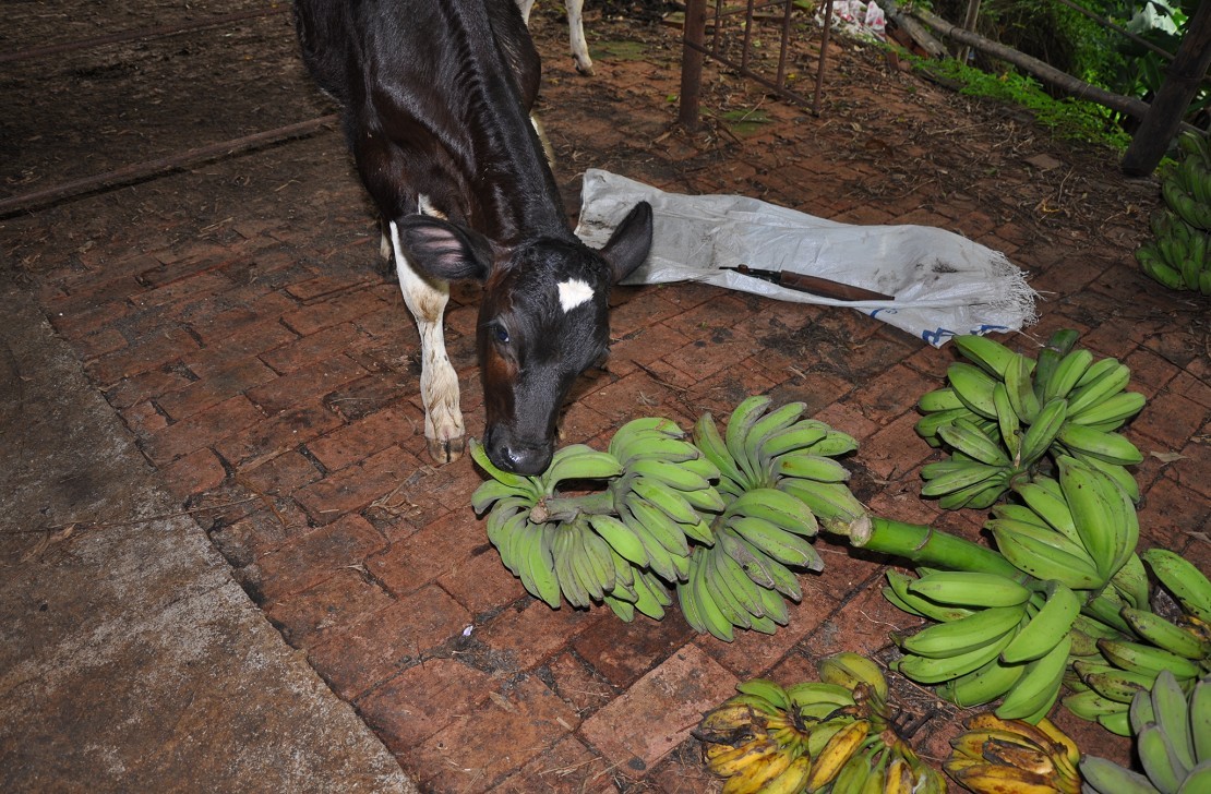 ɱ���� 2.jpg