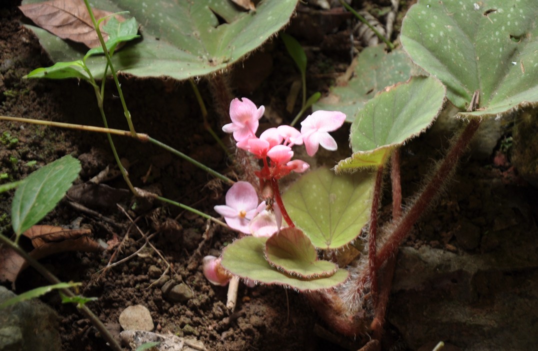 �����ܶ� 8.jpg