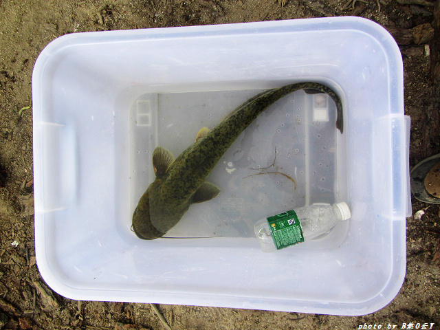 ���������ˡ�����