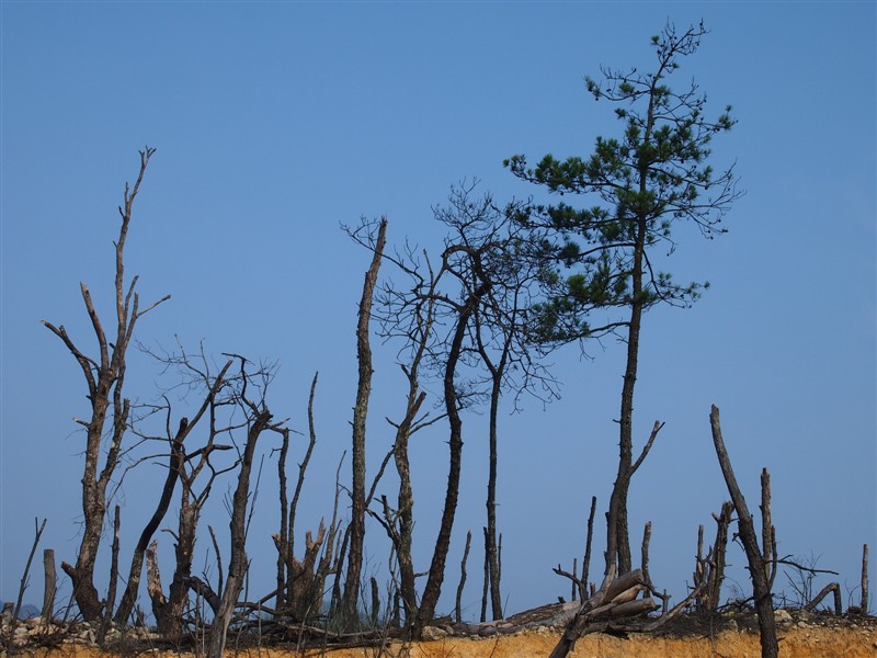 һ��һ����